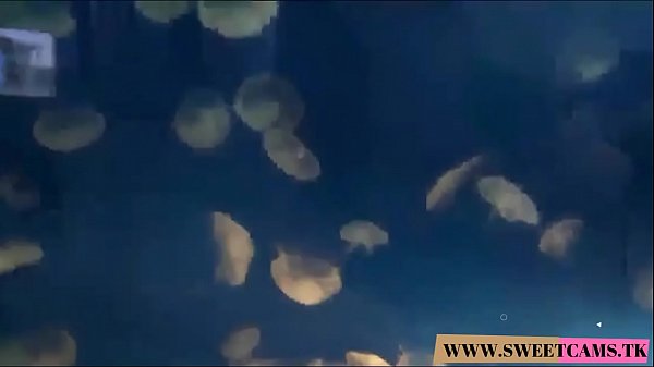 Dee Dee Lynn nimmt nach Ihrem virtuellen POV-Date mit Hardcore-Sex einen Creampie - WWW.SWEETCAMS.TK