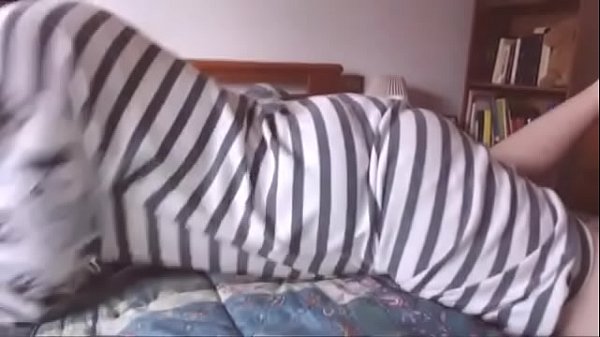 Tu novia futanari tiene una enorme polla negra para que la chupes