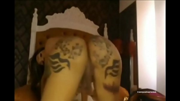 Ebony Tranny With A Tatted Ass Twerks And Chills (She'_s A 10)