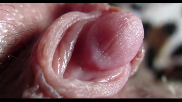 primo piano dell'orgasmo del grande clitoride