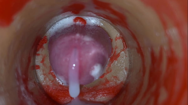 Inseminazione: la telecamera interna cattura l'eiaculazione maschile profonda