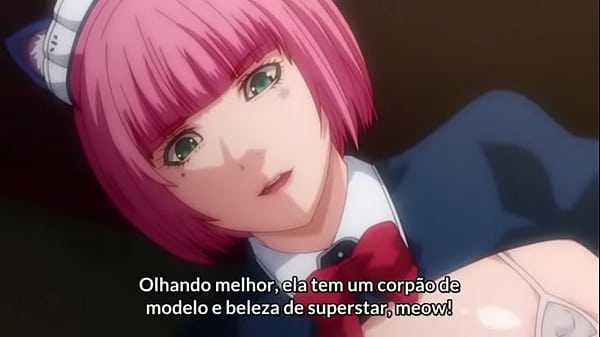 V&iacute_deo de verifica&ccedil_&atilde_o