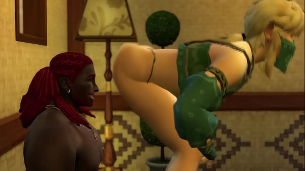 Legend Of Zelda - Link ottiene una nuova missione