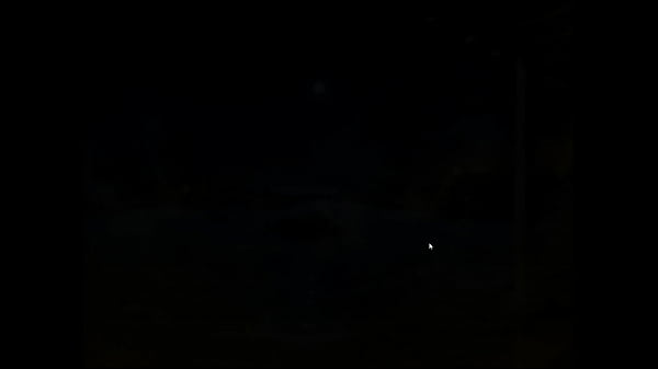 Brothel King #1 - Starting the Bussiness